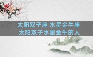 太阳双子座 水星金牛座 太阳双子水星金牛的人